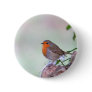 Robin Button