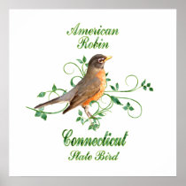 Robin Connecticut State Bird Poster