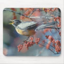 Robin eating berry mousepads