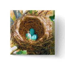 Robin Eggs in a Backyard Tree Nest Buttons