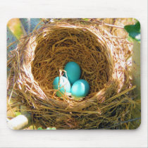 Robin Eggs in a Backyard Tree Nest Mousepads