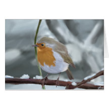 Robin greeting card