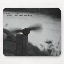 Robin in Air mousepads