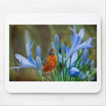 Robin in Spring Flowers Mouse Pads