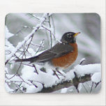 Robin in the Snow - Bird Mousepad