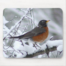 Robin in the Snow - Bird Mousepad