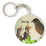 Robin Key Chain keychains