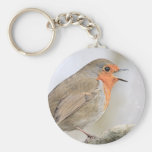 Robin Key Chains
