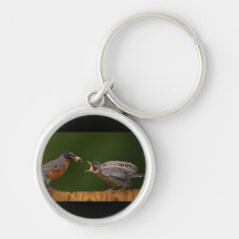 robin key chains