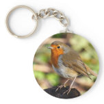 Robin Keychain