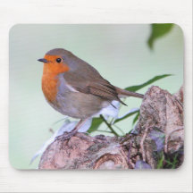 Robin Mousepad