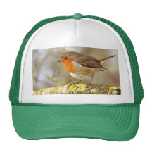 Robin on Branch Hat