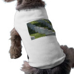 Robin on gravestone pet clothing