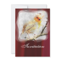 Robin Party Announcement Invitation