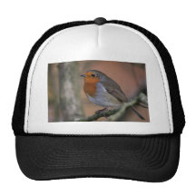 Robin photo hats