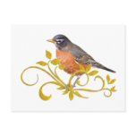 Robin postcards
