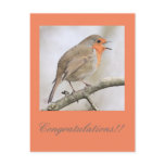 Robin Postcard