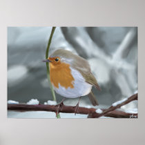 Robin Print