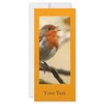 Robin rack cards
