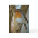 Robin Redbreast cards