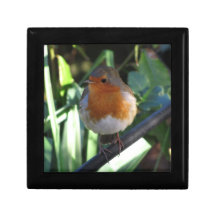 Robin Redbreast Jewelry Box