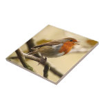 Robin Redbreast Tile