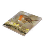 Robin Redbreast Tile