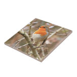 Robin Redbreast Tile