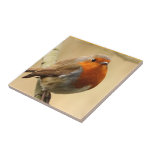 Robin Redbreast Tile