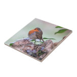Robin Redbreast Tile