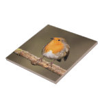 Robin Redbreast Tile