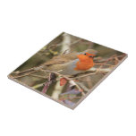 Robin Redbreast Tile