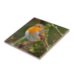 Robin Redbreast Tile