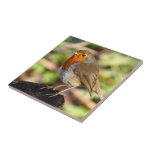 Robin Redbreast Tile