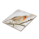 Robin Redbreast Tile