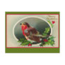 Robin Redbreast Vintage Christmas Card Postcards