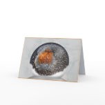 Robin Snowglobe Card