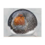 Robin Snowglobe Postcard