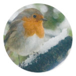 Robin Stickers