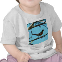Robin Tee Shirts