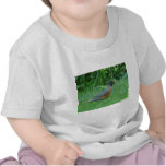 robin t-shirts