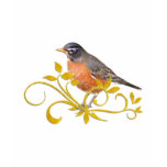 Robin t-shirts