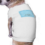 Robins egg blue with gold heart pet clothing
