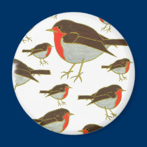 Robins magnets