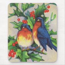 Robins & Holly Christmas