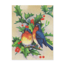 Robins & Holly Christmas