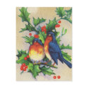 Robins & Holly Christmas postcards
