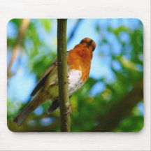ROBINS MOUSE MATS