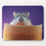 Roborovski Hamster Mouspad mousepads