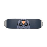 Robots in Disguise skateboards